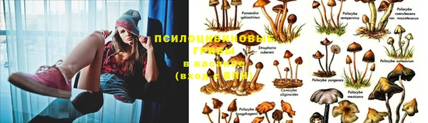 кокс Каменка
